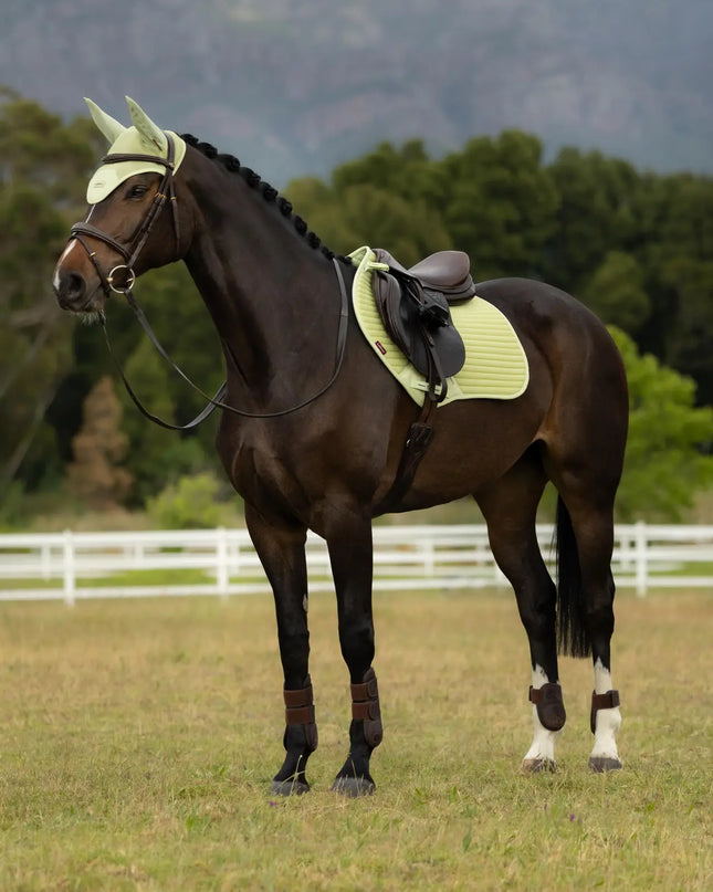 LeMieux SS26 Air-Tek Mesh Close Contact Square Saddle Pad