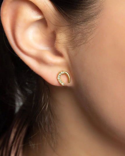 Horseshoe Stone Earring