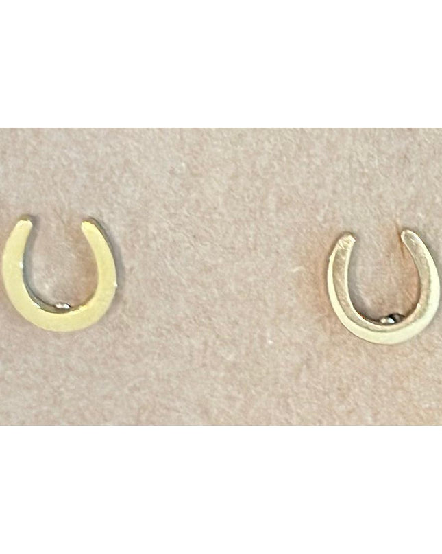 Horseshoe Fashion Earrings-HorzeStylz-HorzeStylz