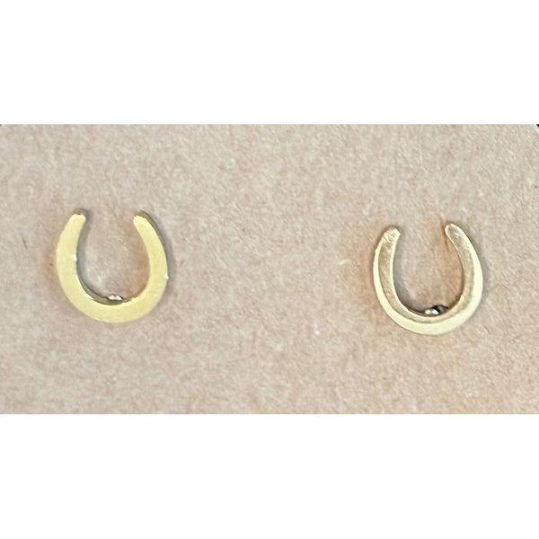 Horseshoe Fashion Earrings-HorzeStylz-HorzeStylz