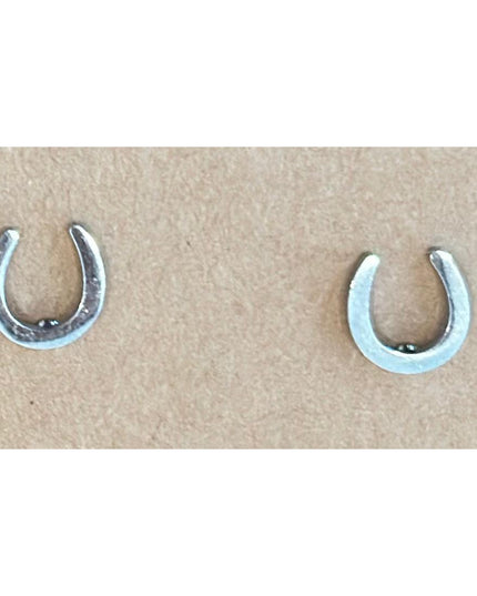 Horseshoe Fashion Earrings-HorzeStylz-HorzeStylz