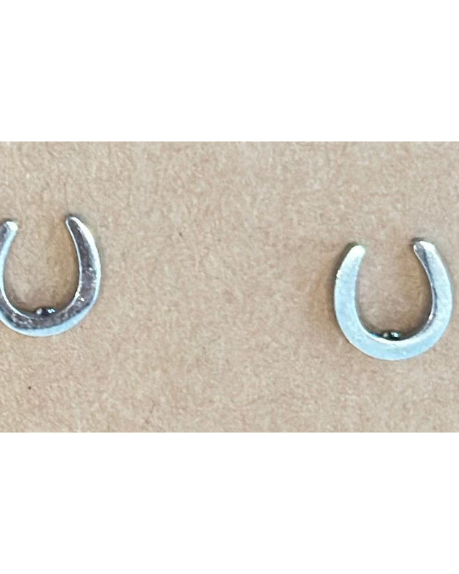 Horseshoe Fashion Earrings-HorzeStylz-HorzeStylz