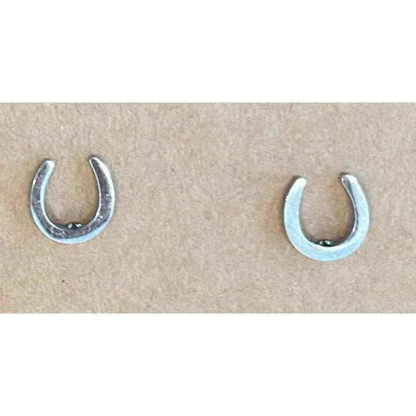 Horseshoe Fashion Earrings-HorzeStylz-HorzeStylz