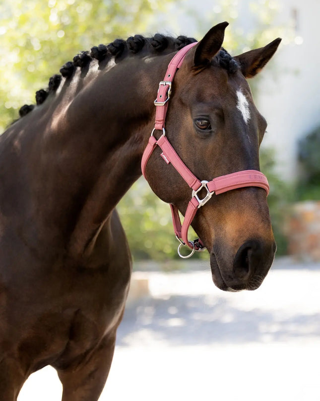 LeMieux Essence Halter