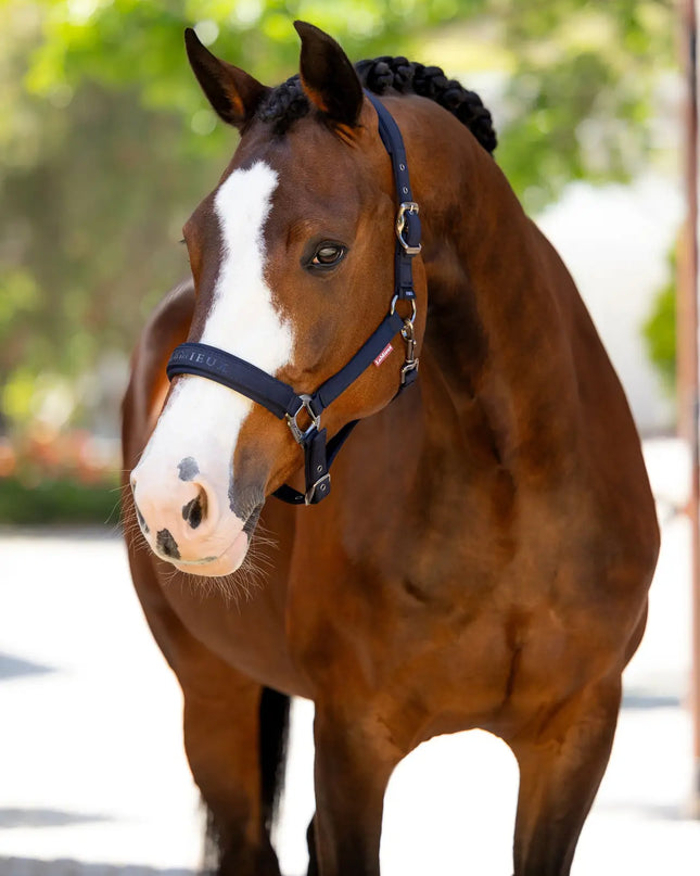 LeMieux Essence Halter