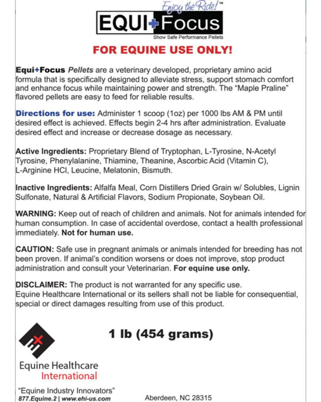 EQUI+Focus