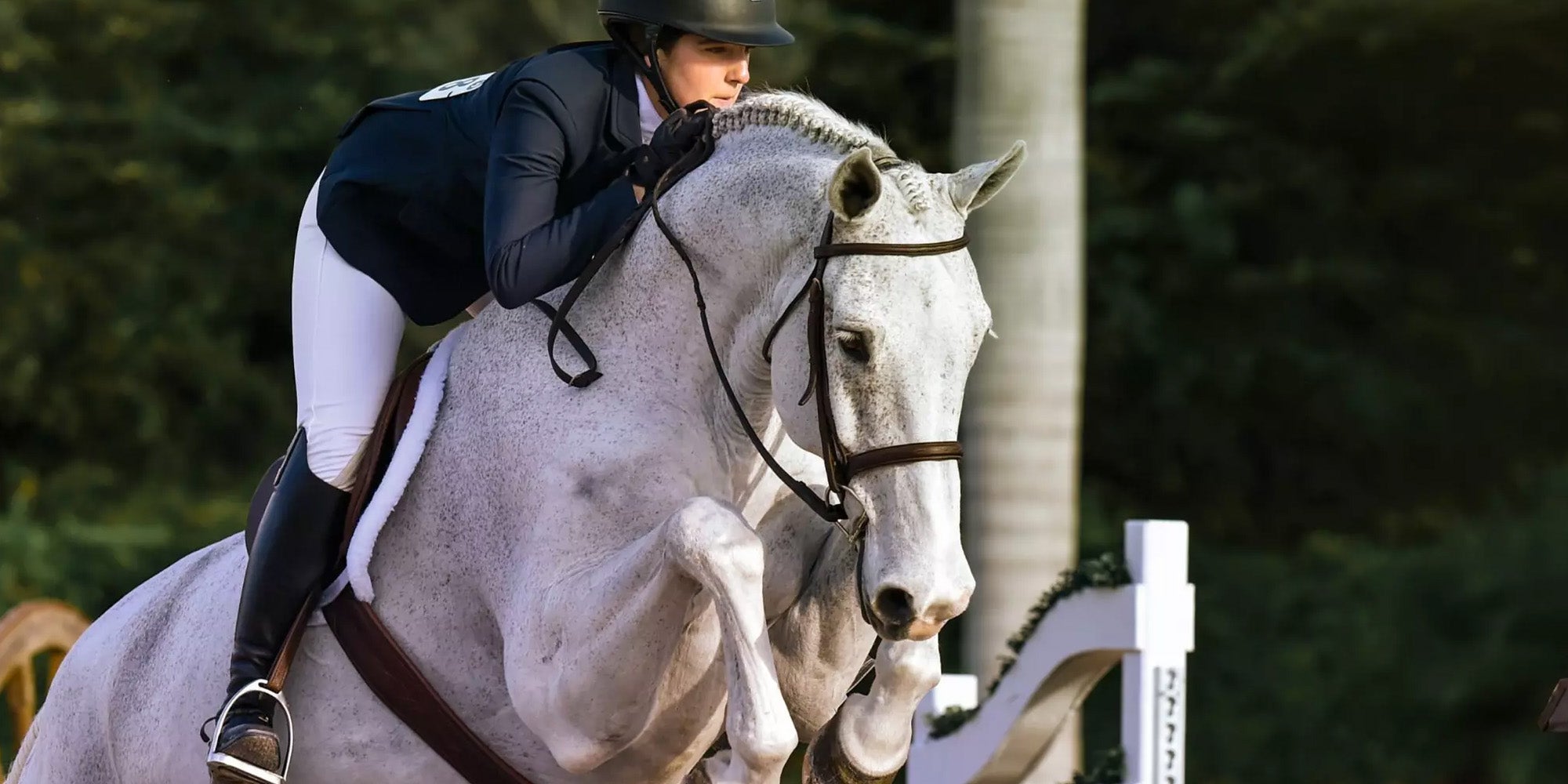 English Horse Riding Tack