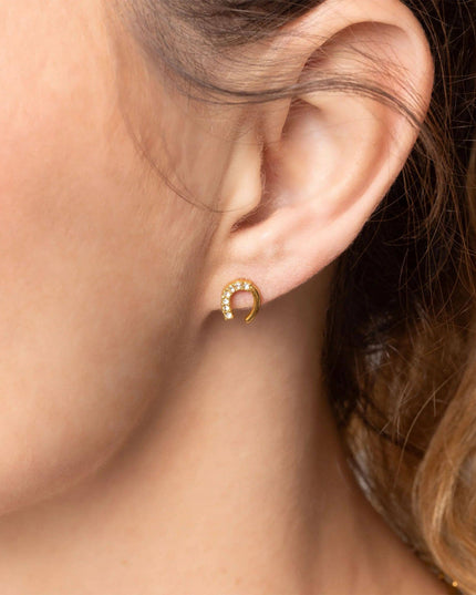 Horseshoe Stone Earring