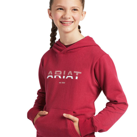 Ariat Kids 3D Logo 2.0 Hoodie Sweatshirt-Ariat-HorzeStylz