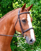 Pony