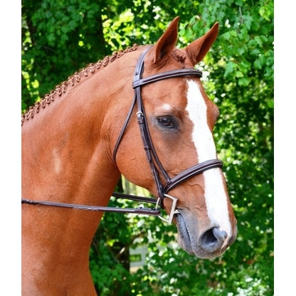 Black Oak Aster Hunter Bridle-KL Select-HorzeStylz