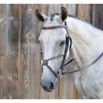 Black Oak Cedar Figure 8 Bridle-KL Select-HorzeStylz