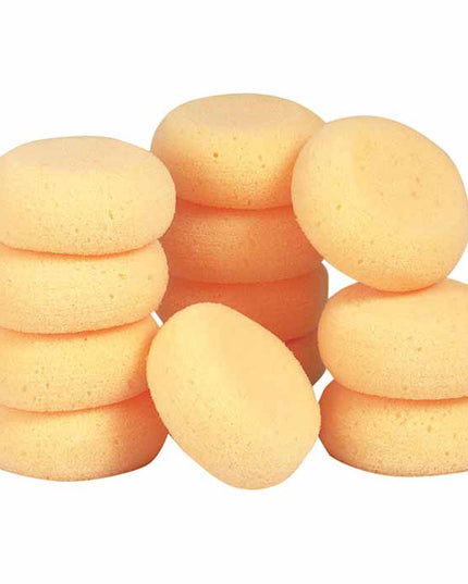 Mini Tack Sponges - Pack of 12-GT Reid-HorzeStylz
