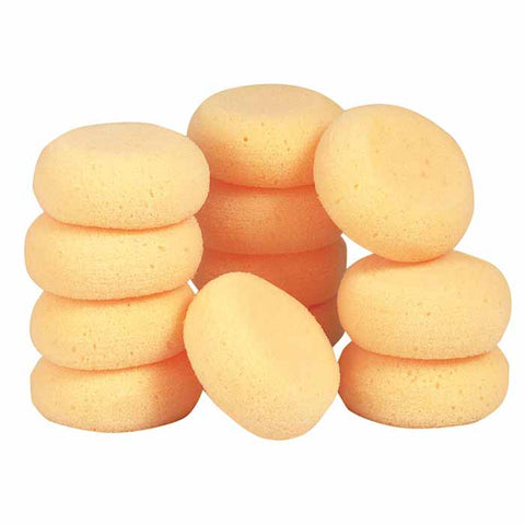 Mini Tack Sponges - Pack of 12-GT Reid-HorzeStylz